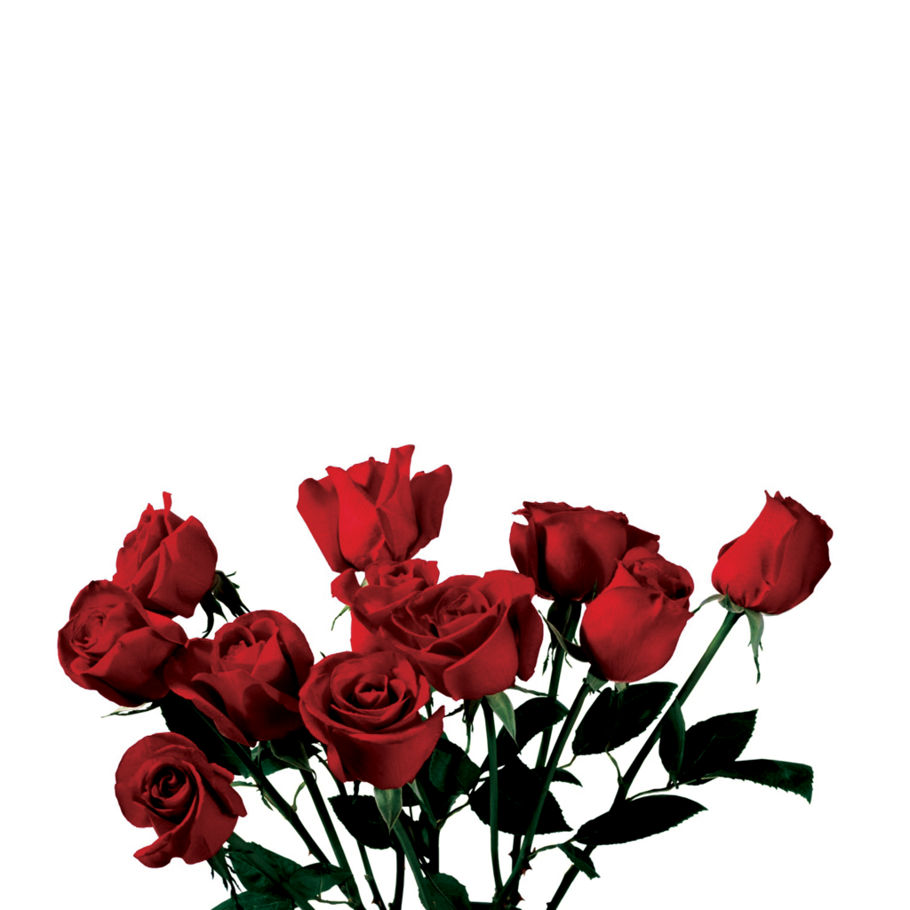 Love Red Aesthetic PNG Picture