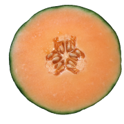 Meloen PNG