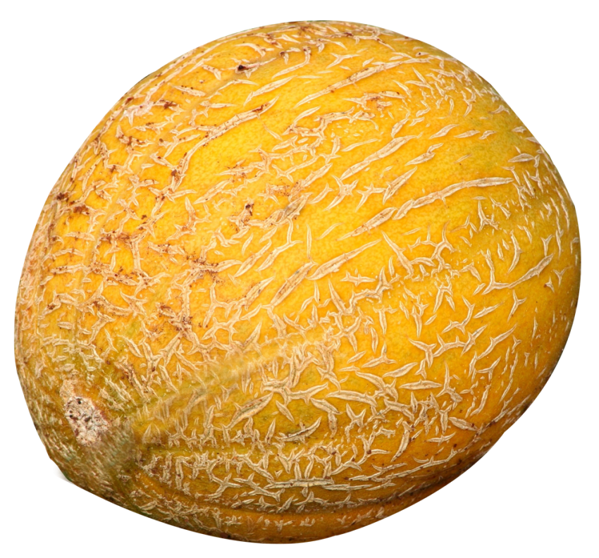 Melon PNG File