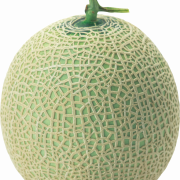 Meloen PNG -afbeelding