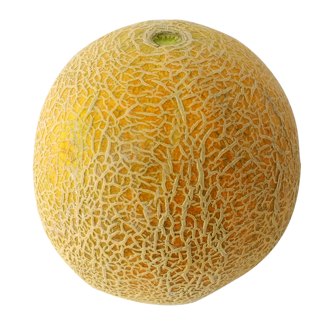 Melon PNG Images