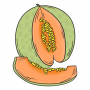 البطيخ PNG الموافقة المسبقة عن علم