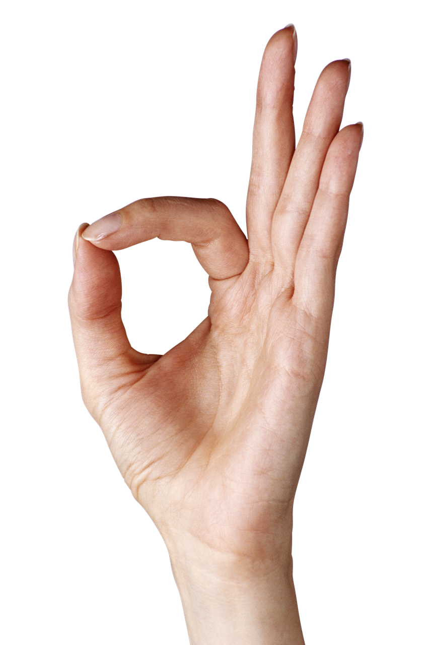 Pointing Finger Hand PNG Clipart