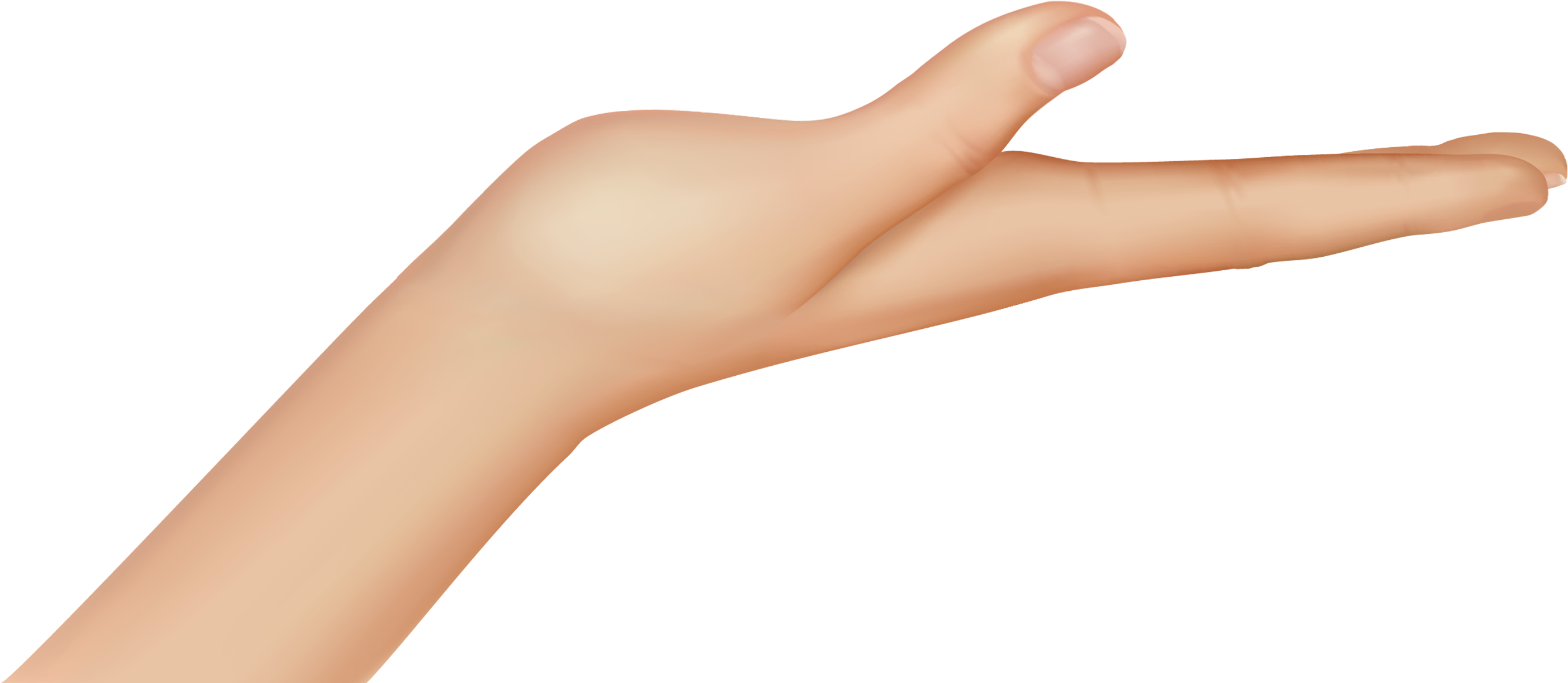Pointing Finger Hand PNG Cutout