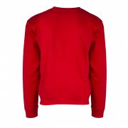 Pullover PNG foto