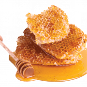 Miele puro senza sfondo