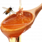 Coupé PNG de miel pur