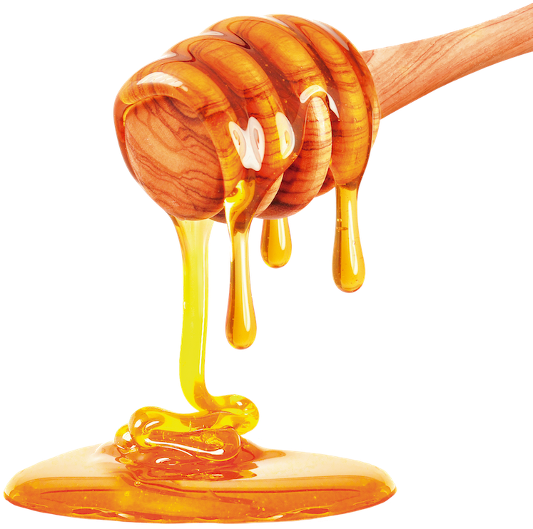Pure Honey PNG File