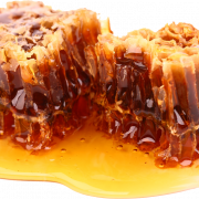 Pure Honey PNG Free Image