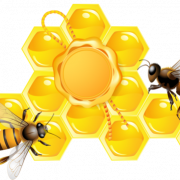 Imagen de miel de miel pura