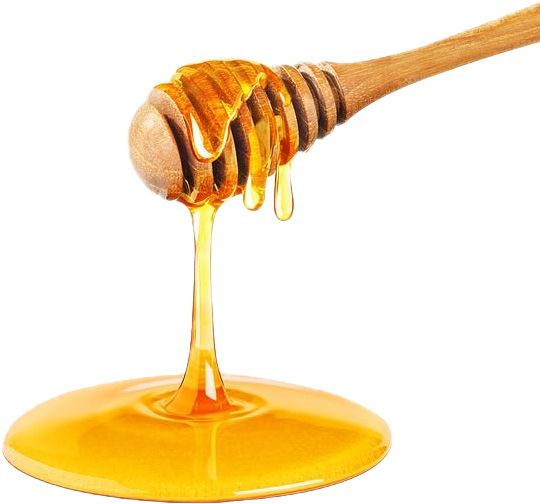 Pure Honey PNG Foto