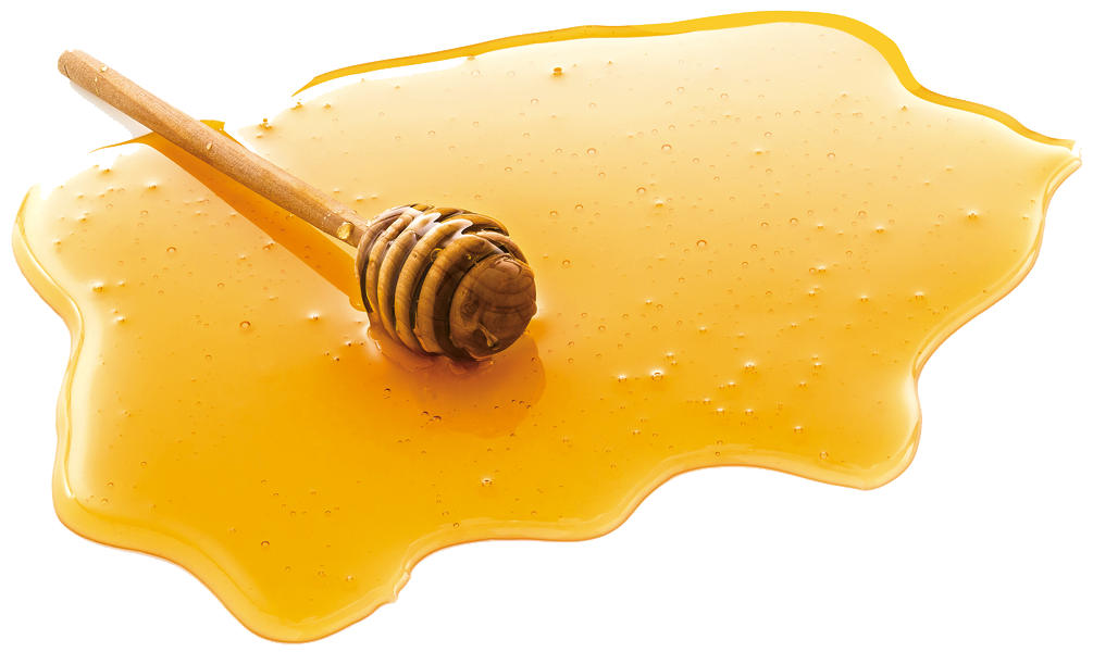 Pure Honey PNG