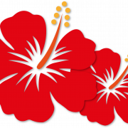 Красный Hibiscus png вырез