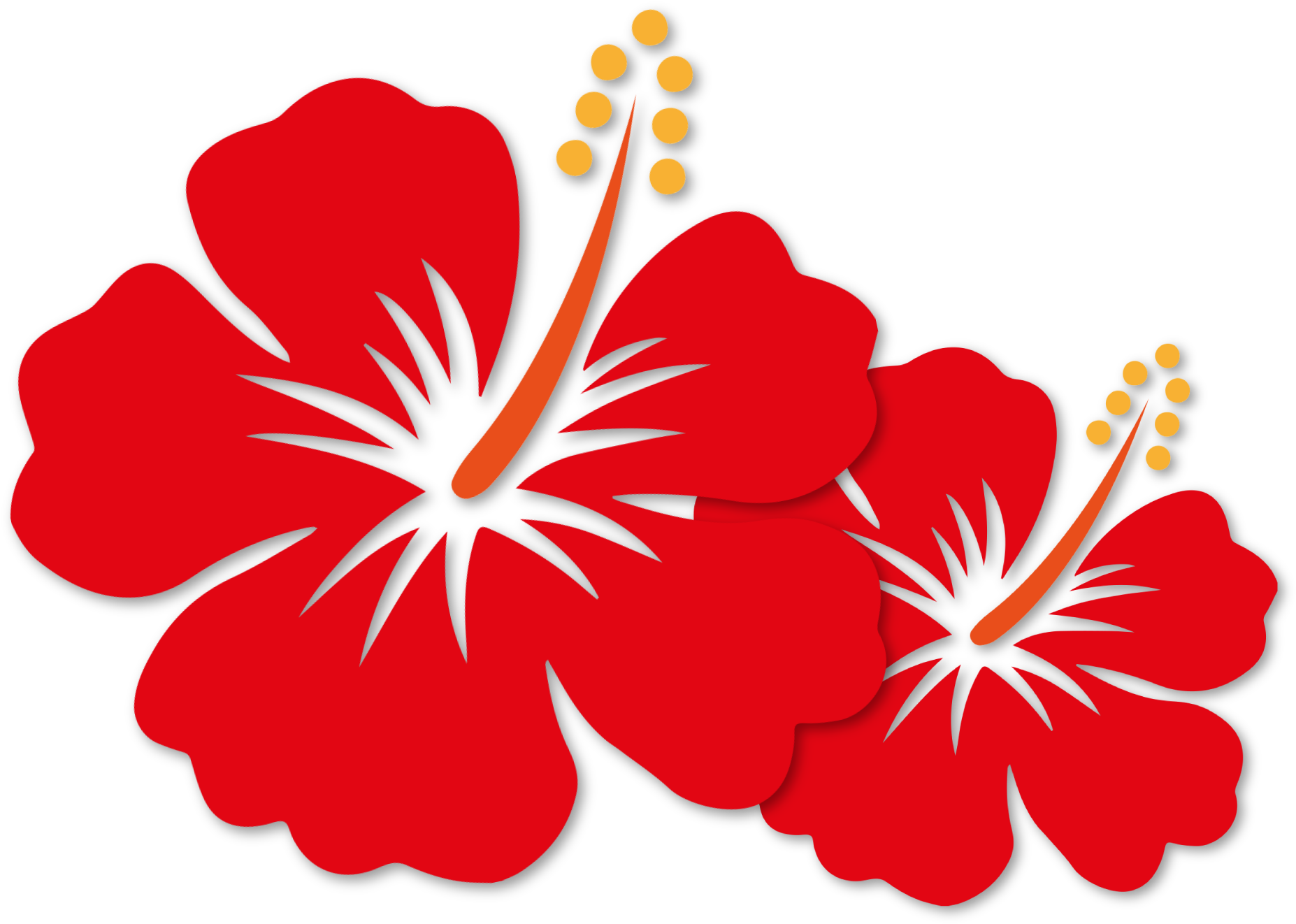 Red Hibiscus PNG Cutout