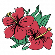 Red Hibiscus PNG -afbeelding
