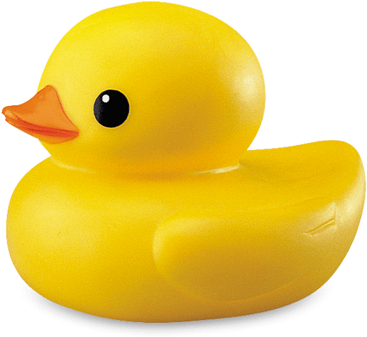 Rubber Duck No Background