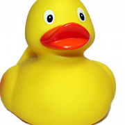 Rubberen Duck PNG -bestand