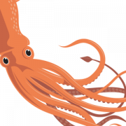 Squid Animal PNG Larawan