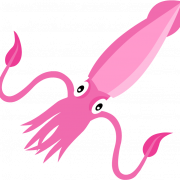 PNG de fondo de calamar