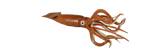 Squid PNG Clipart