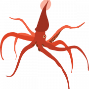 Squid PNG File