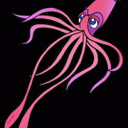 Immagine PNG di calamari