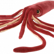 Squid PNG Image File