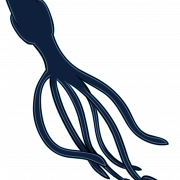 png squid png
