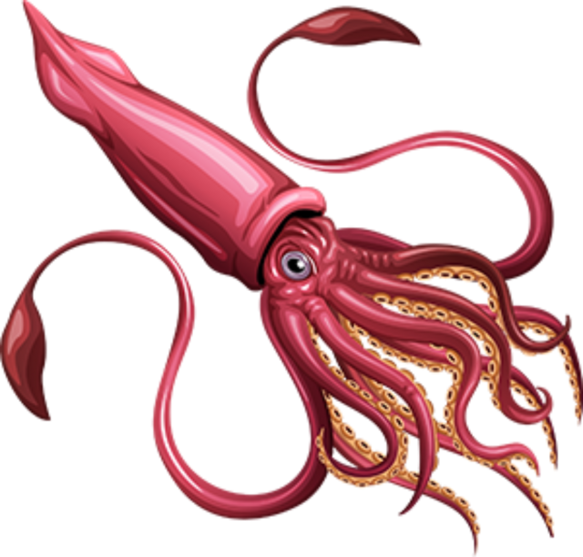 Squid Reef Creature PNG Clipart