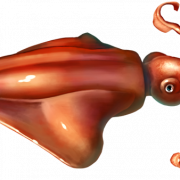Squid Reef Creature PNG Cutout