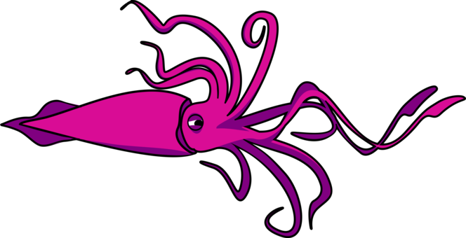 Squid Reef Creature PNG Image HD