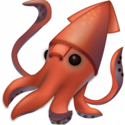 Squid Reef Creature PNG Picture