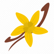 Flower de vainilla PNG recorte