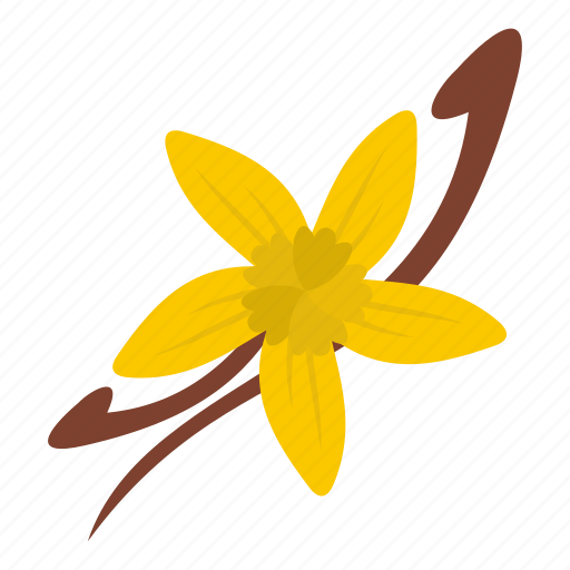 Vanilla Flower PNG Cutout