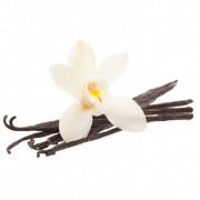Fichier PNG de fleur de vanille