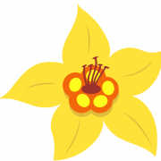 รูป PNG ดอกไม้วานิลลา