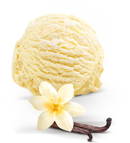 Fichier PNG de crème glacée à la vanille