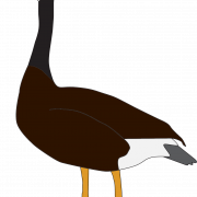Vector Goose