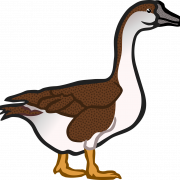 Vector Goose Png Pic