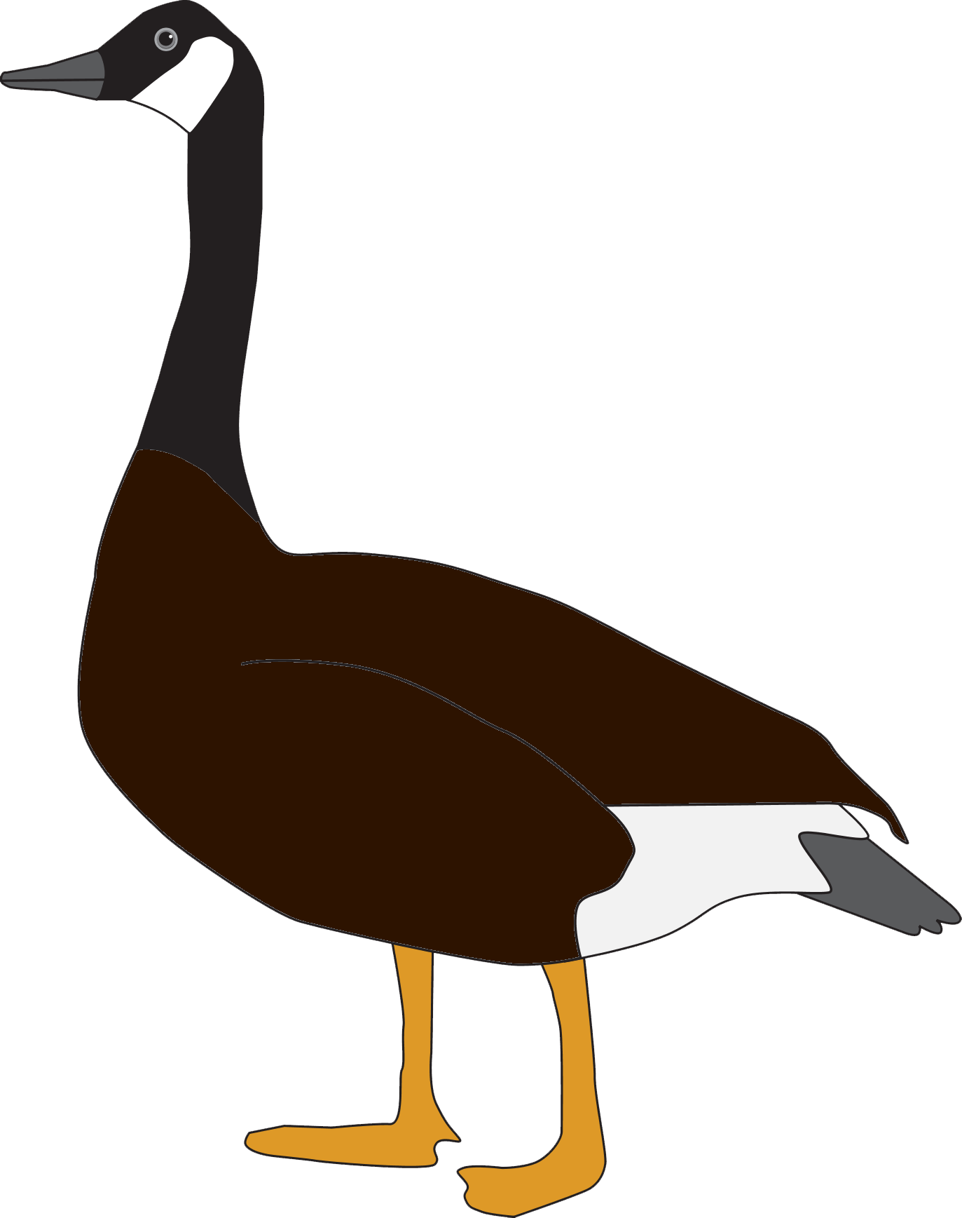 Vector Goose