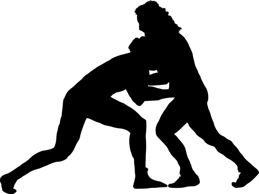 Vector Wrestling PNG Picture