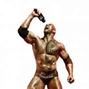 WWE Wrestler PNG Image