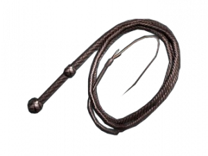 Whip PNG Cutout