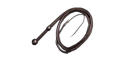 Whip PNG Cutout