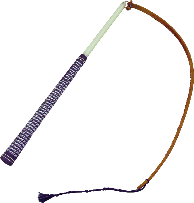 Whip PNG File