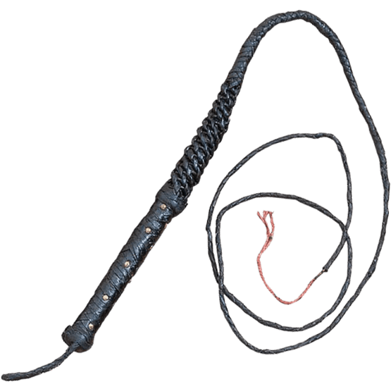 Whip PNG HD Image