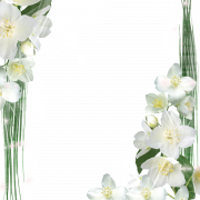 Frame bianco Png Picture