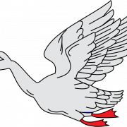 White Goose PNG Photo