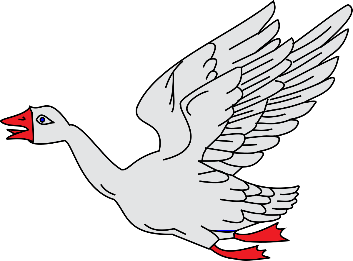 White Goose PNG Photo