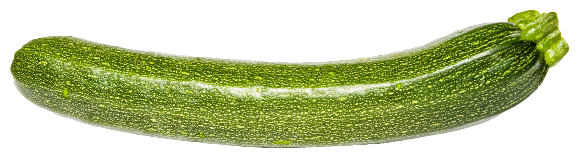 Zucchini Summer Squash PNG Clipart